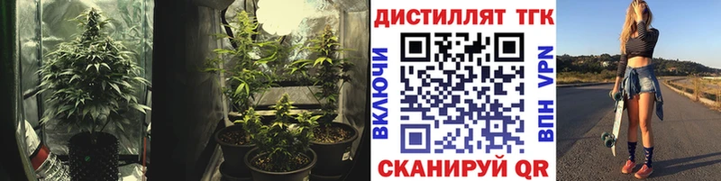 Купить  Пушкино  ТГК THC oil 