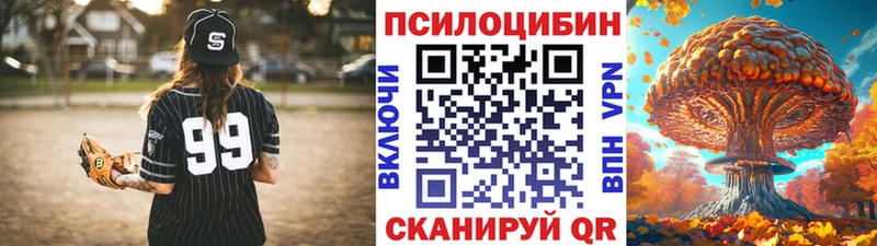 Купить закладки  Пушкино  Галлюциногенные грибы GOLDEN TEACHER 