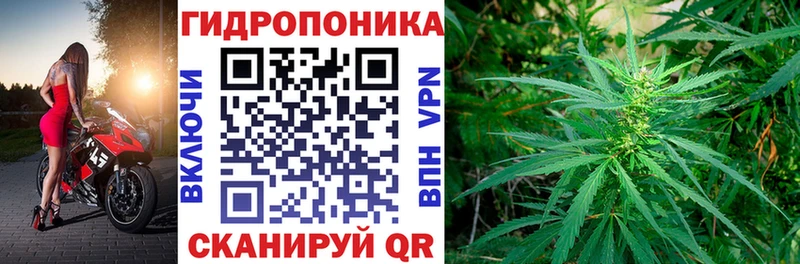 Купить закладки  Пушкино  Канабис марихуана 